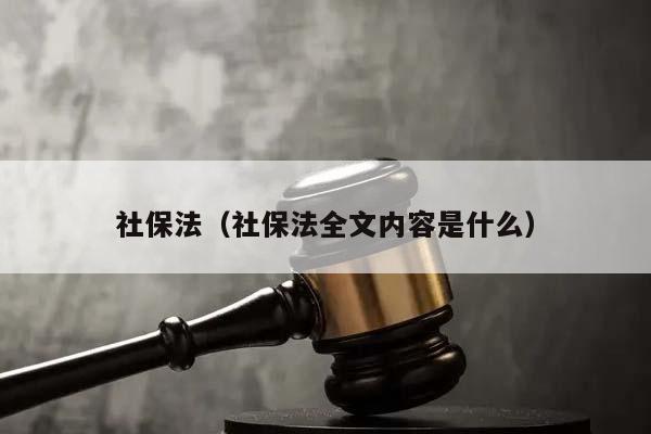 社保法（社保法全文内容是什么）