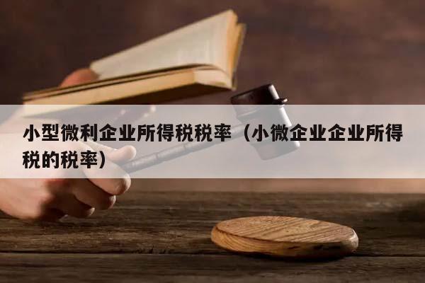 小型微利企业所得税税率（小微企业企业所得税的税率）