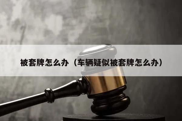 被套牌怎么办（车辆疑似被套牌怎么办）