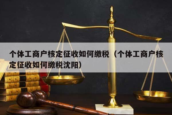 个体工商户核定征收如何缴税（个体工商户核定征收如何缴税沈阳）