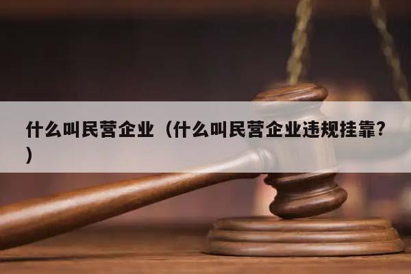 什么叫民营企业（什么叫民营企业违规挂靠?）