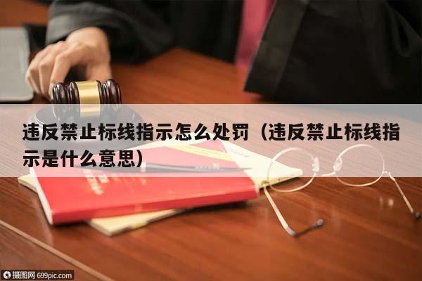 违反禁止标线指示怎么处罚（违反禁止标线指示是什么意思）