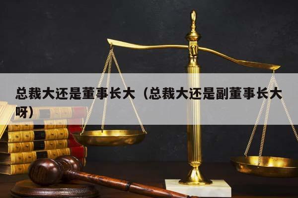 总裁大还是董事长大（总裁大还是副董事长大呀）