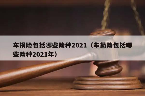 车损险包括哪些险种2021（车损险包括哪些险种2021年）