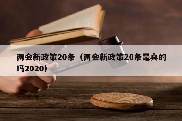 两会新政策20条（两会新政策20条是真的吗2020）