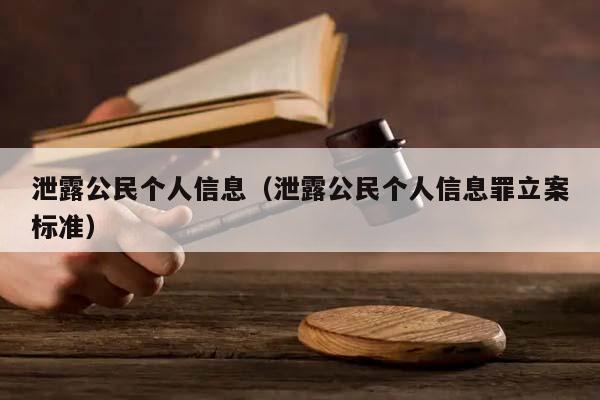 泄露公民个人信息（泄露公民个人信息罪立案标准）