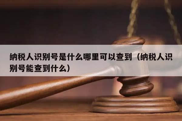 纳税人识别号是什么哪里可以查到（纳税人识别号能查到什么）