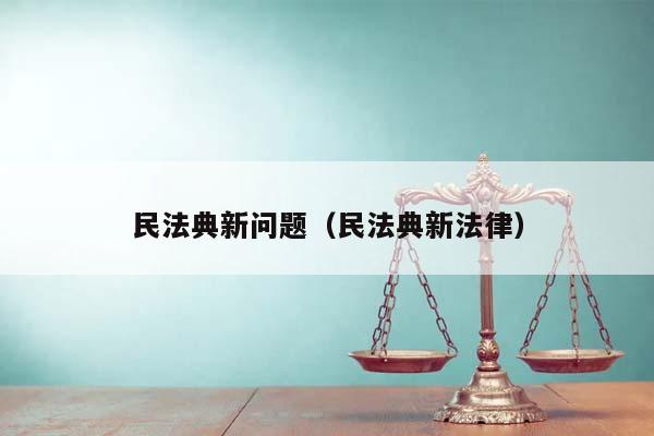 民法典新问题（民法典新法律）