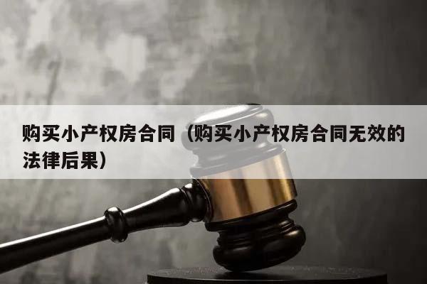 购买小产权房合同（购买小产权房合同无效的法律后果）