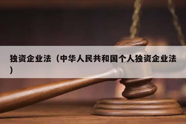 独资企业法（中华人民共和国个人独资企业法）