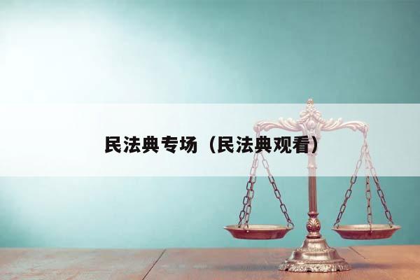 民法典专场（民法典观看）