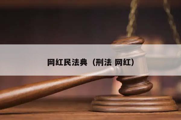 网红民法典（刑法 网红）