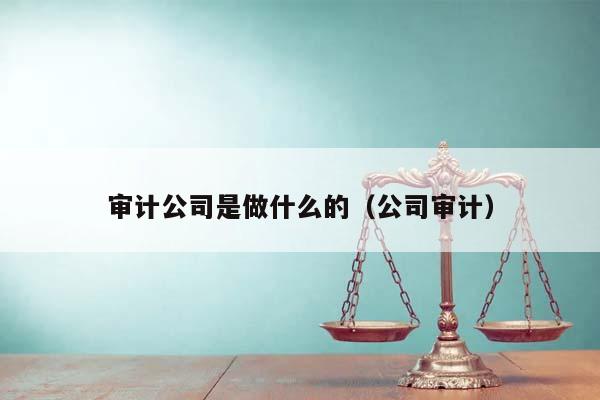 审计公司是做什么的（公司审计）