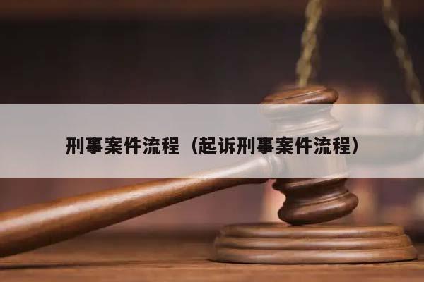 刑事案件流程（起诉刑事案件流程）