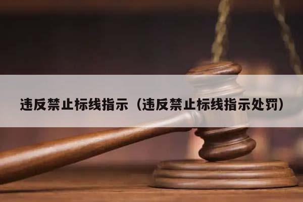 违反禁止标线指示（违反禁止标线指示处罚）