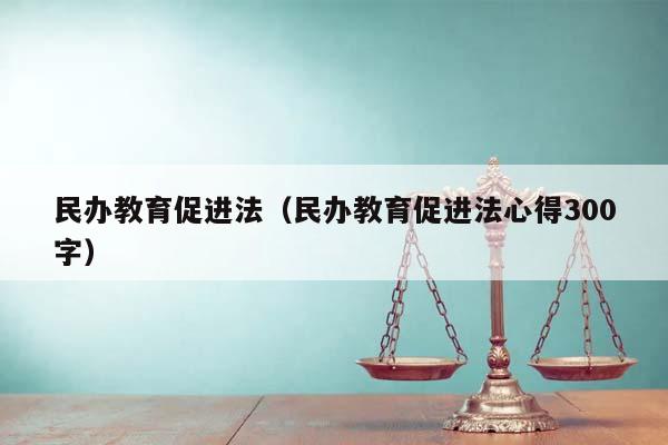 民办教育促进法（民办教育促进法心得300字）