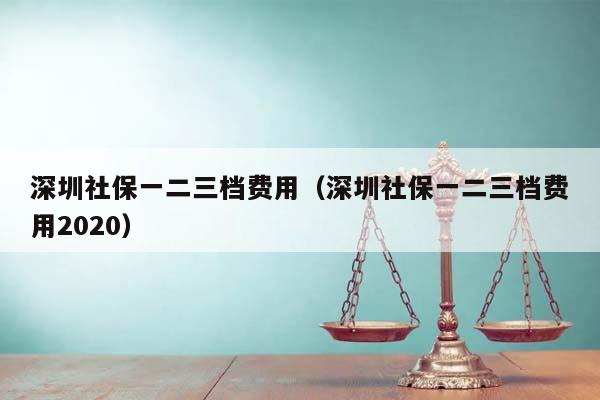 深圳社保一二三档费用（深圳社保一二三档费用2020）