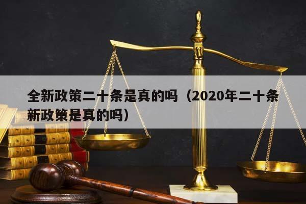 全新政策二十条是真的吗（2020年二十条新政策是真的吗）