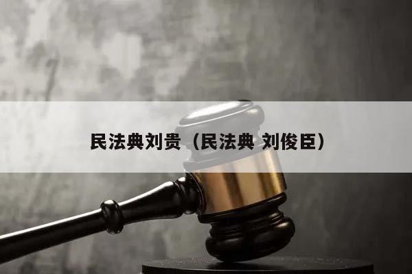 民法典刘贵（民法典 刘俊臣）