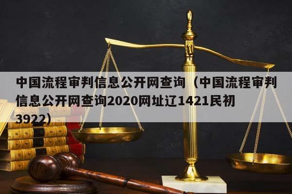 中国流程审判信息公开网查询（中国流程审判信息公开网查询2020网址辽1421民初3922）