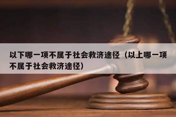 以下哪一项不属于社会救济途径（以上哪一项不属于社会救济途径）