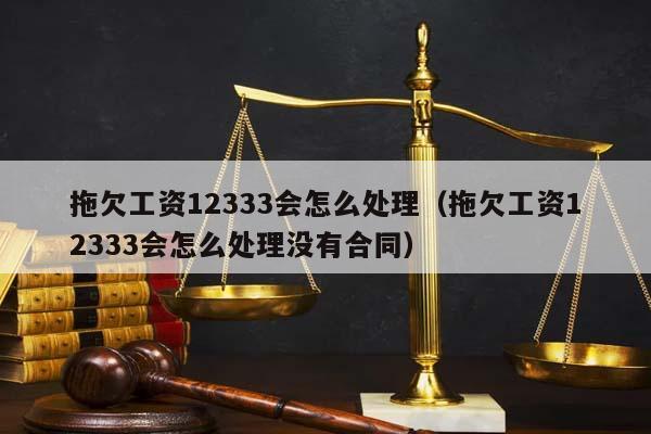 拖欠工资12333会怎么处理（拖欠工资12333会怎么处理没有合同）