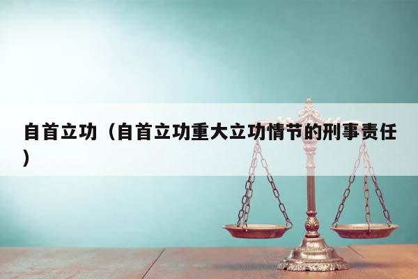 自首立功（自首立功重大立功情节的刑事责任）