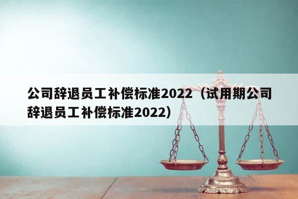 公司辞退员工补偿标准2022（试用期公司辞退员工补偿标准2022）