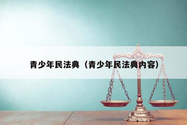 青少年民法典（青少年民法典内容）