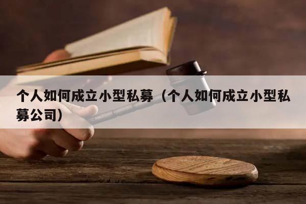 个人如何成立小型私募（个人如何成立小型私募公司）