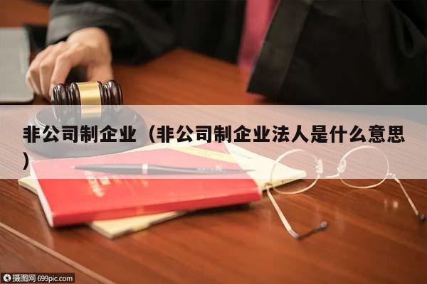 非公司制企业（非公司制企业法人是什么意思）