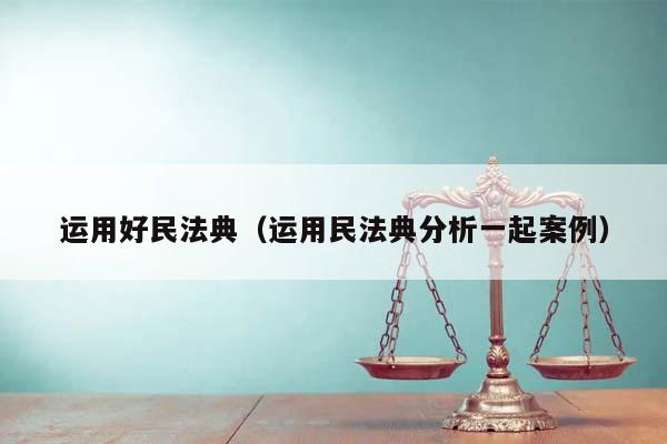 运用好民法典（运用民法典分析一起案例）