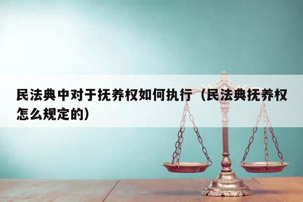 民法典中对于抚养权如何执行（民法典抚养权怎么规定的）