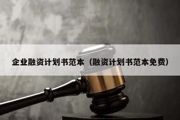 企业融资计划书范本（融资计划书范本免费）