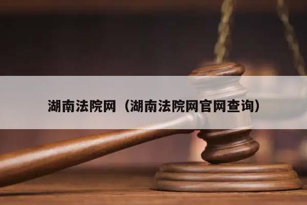 湖南法院网（湖南法院网官网查询）