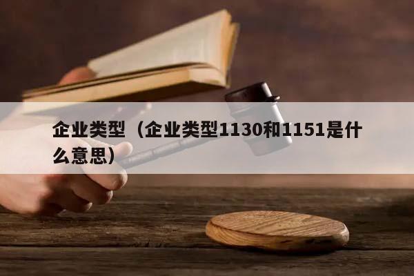 企业类型（企业类型1130和1151是什么意思）