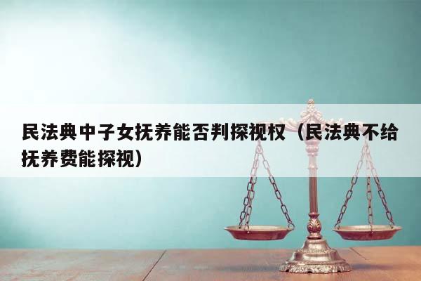 民法典中子女抚养能否判探视权（民法典不给抚养费能探视）