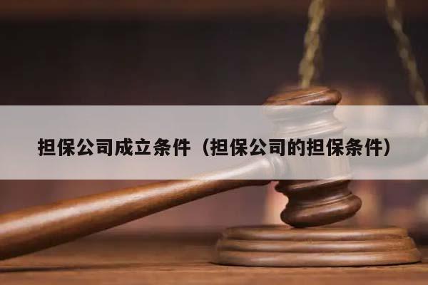 担保公司成立条件（担保公司的担保条件）