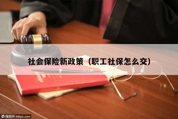 社会保险新政策（职工社保怎么交）