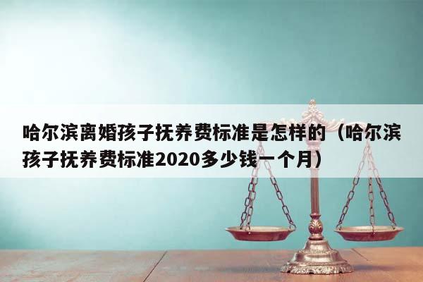 哈尔滨离婚孩子抚养费标准是怎样的（哈尔滨孩子抚养费标准2020多少钱一个月）