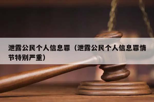 泄露公民个人信息罪（泄露公民个人信息罪情节特别严重）