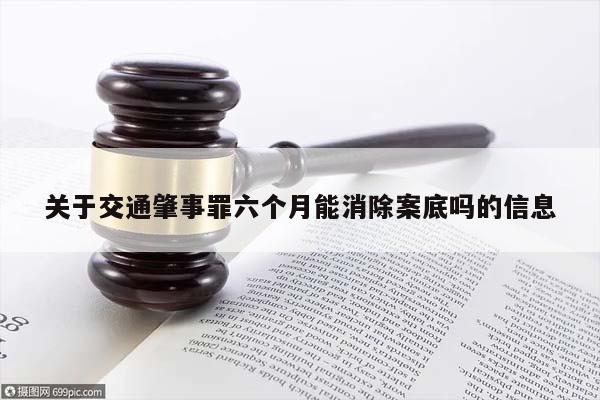 关于交通肇事罪六个月能消除案底吗的信息