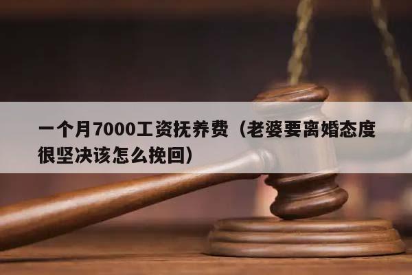 一个月7000工资抚养费（老婆要离婚态度很坚决该怎么挽回）