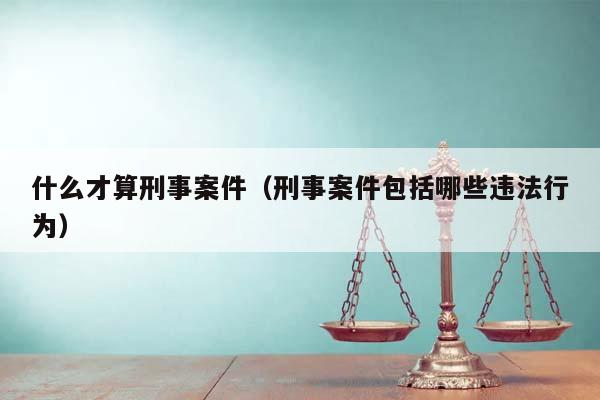 什么才算刑事案件（刑事案件包括哪些违法行为）