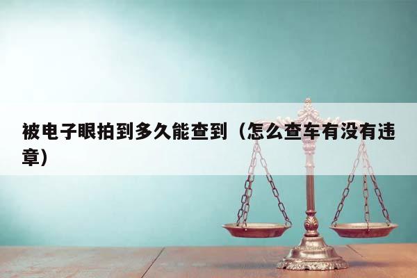 被电子眼拍到多久能查到（怎么查车有没有违章）