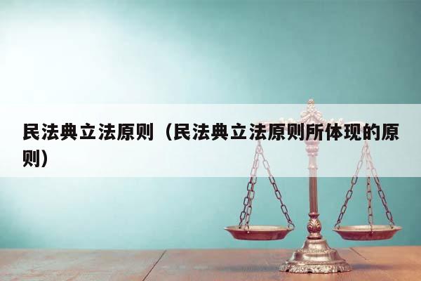 民法典立法原则（民法典立法原则所体现的原则）