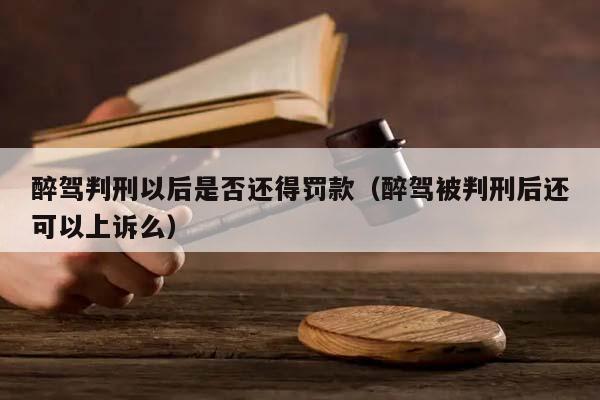 醉驾判刑以后是否还得罚款（醉驾被判刑后还可以上诉么）