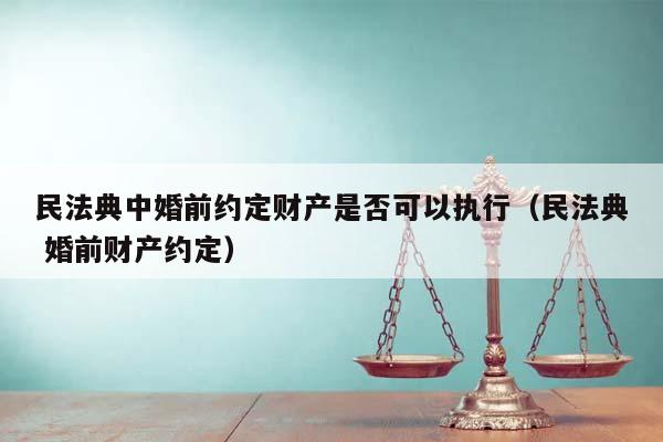 民法典中婚前约定财产是否可以执行（民法典 婚前财产约定）