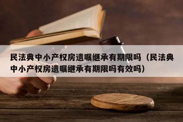 民法典中小产权房遗嘱继承有期限吗（民法典中小产权房遗嘱继承有期限吗有效吗）