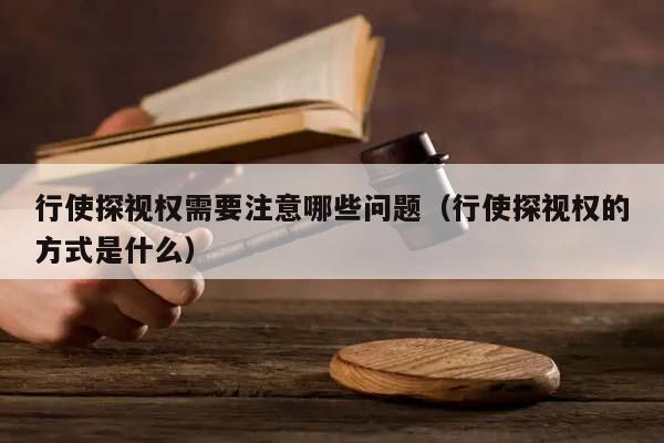 行使探视权需要注意哪些问题（行使探视权的方式是什么）